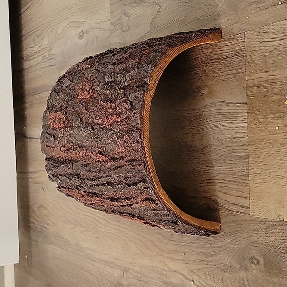 Large tortoise hide (estimated 8 in length)